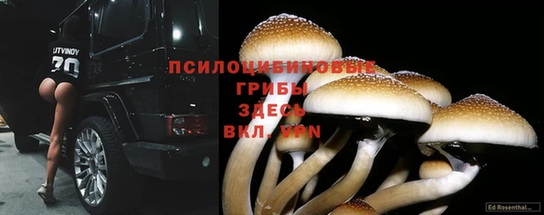 марки nbome Алексеевка