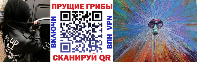 Псилоцибиновые грибы ЛСД  наркотики  Алексеевка 